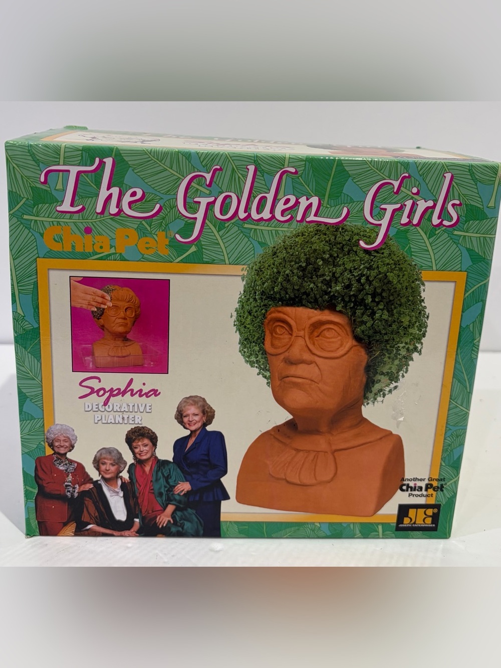 Golden Girls Sophia Decorative Chia Pet Planter Terra Cotta